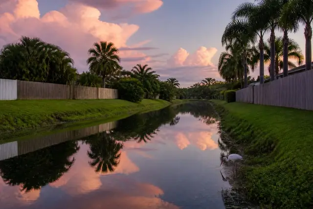 Residential drainage canal at dawn in Pembroke Pines with royal palms and backyard fences reflected in still water