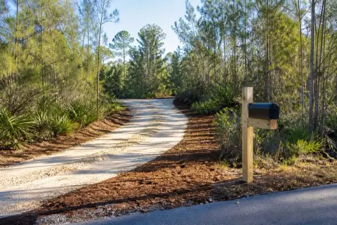 New limerock drive cut through melaleuca and palmetto on a wooded western Broward parcel