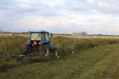 Compact tractor with brush mower reclaiming an overgrown pasture on a Southwest Ranches parcel with egrets following
