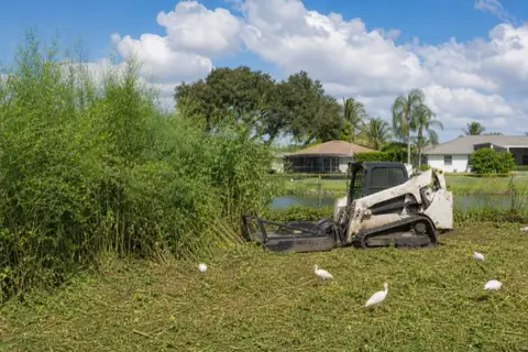 Compact track loader with brush mower cutting shoulder-high dog fennel along a Pembroke Pines backyard canal fence
