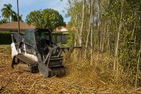 Forestry mulcher head grinding a stand of white-barked melaleuca on an overgrown Pembroke Pines parcel