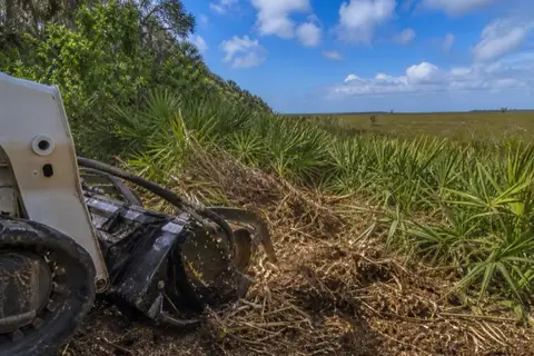 Mulcher teeth cutting through thick saw palmetto fans on a western Broward acreage parcel