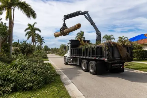 Grapple truck loading a snapped royal palm trunk from a Pembroke Pines street after tropical weather